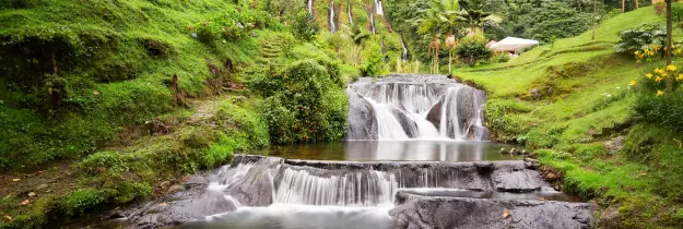 Medellín